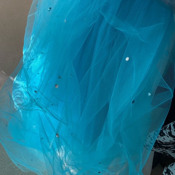 Ball gown - Picture 4 of 4